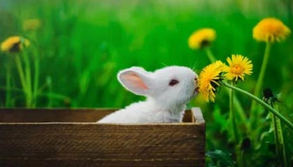 扛着上港前进的竟是他！被质疑一个赛季却一战封神